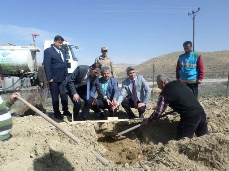 Darende’de Armut Ve Elma Yaygınlaştırılacak