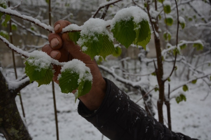 Mart Kapıdan Baktırdı