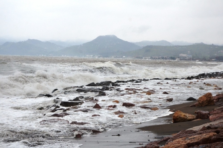 Fatsa’da Dev Dalgalar