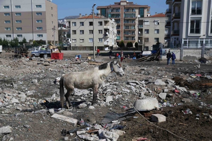 Karşıyaka’da Yıkım Operasyonu: Hurdacı Çadırları Kaldırıldı