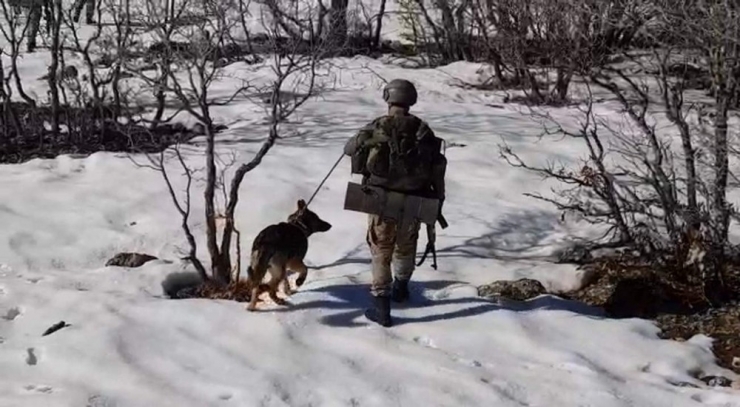 Jandarmanın ’Hassas Burunlu’ Yardımcıları Görev Başında