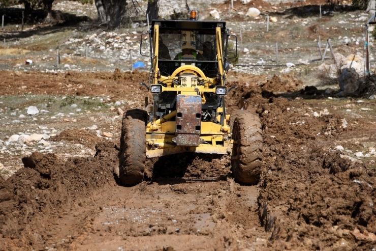 Koyun Ve Kuzular Açlıktan Kurtarıldı