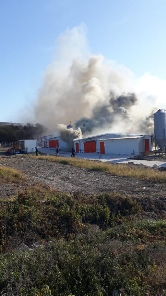 Bursa’da Tavuk Tesisi Alev Alev Yandı...