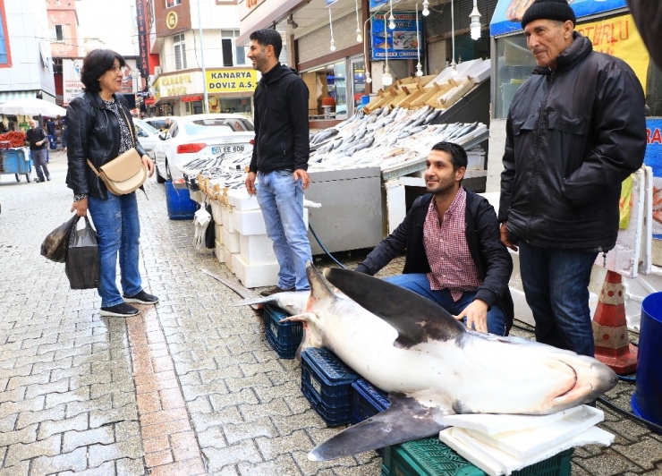 200 Kilogramlık Köpek Balığı İle Fotoğraf Yarışı