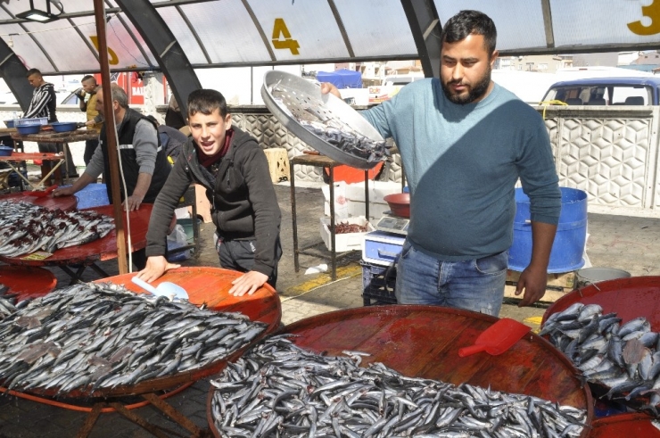 Afyonkarahisar’da 10 Liraya Satılan Hamsi Balığına Yoğun Talep