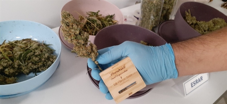 Narkotik Operasyonunda Fetö İzi Çıktı, Aramalarda İsrail Malı Silah Ele Geçirildi