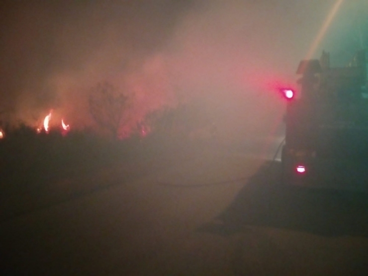 Serik’te Kargılık Yangını