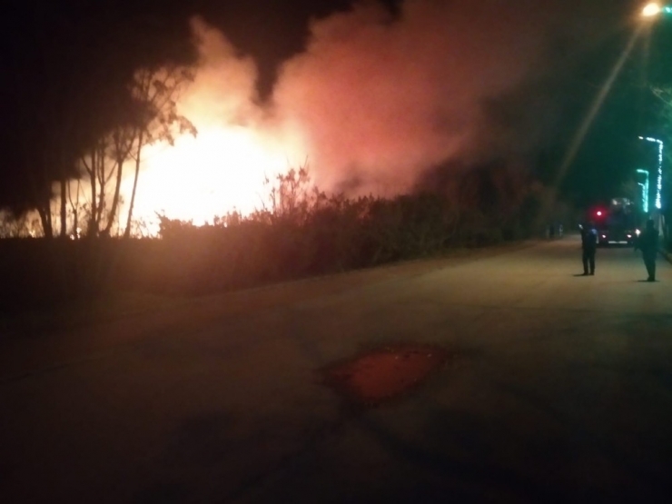 Serik’te Kargılık Yangını