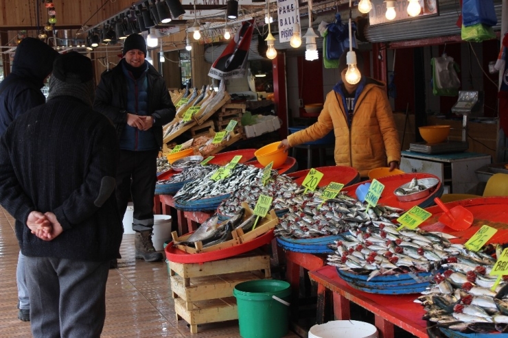Balık Fiyatları Yüzde 50 Düştü