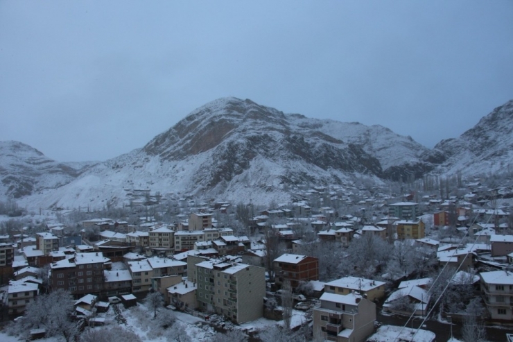 Oltu’ya ’Leylek Kar’ı