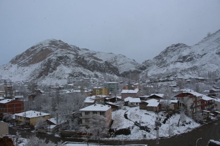 Oltu’ya ’Leylek Kar’ı