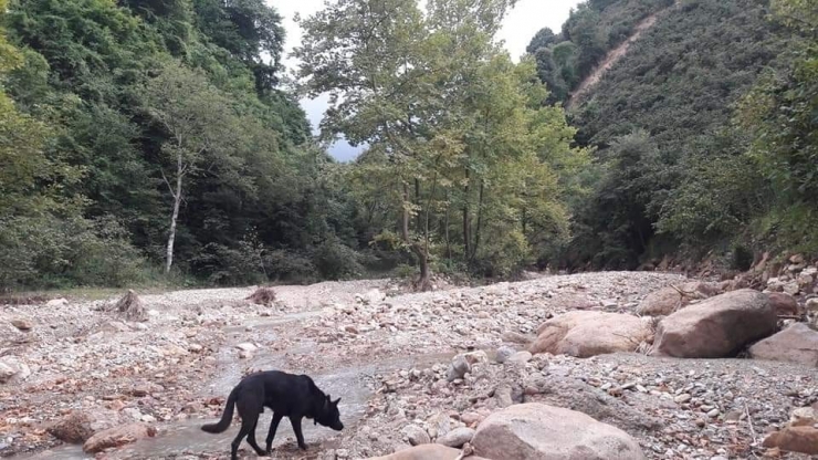 Kurugöl Kanyonu Eski Günlerini Arıyor