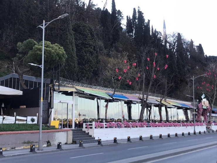 Korona Virüsü Nedeniyle Kafeler Kepenk Kapattı, Üsküdar Salacak Sahili Bomboş Kaldı