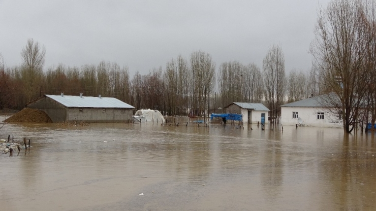 Muş’ta Bir Köy Sel Suları Altında Kaldı