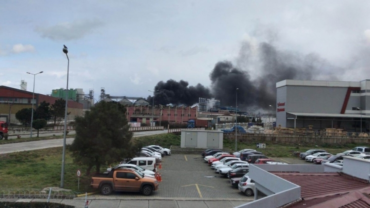 Samsun’da Lastik Ayakkabı Fabrikasında Yangın Çıktı, 3 Kişi Hastanelik Oldu