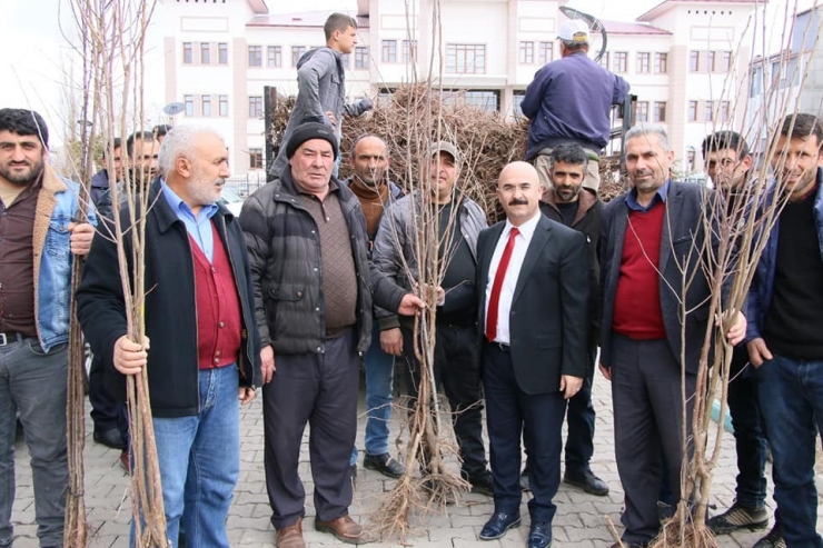 Selim Belediyesi’nden Her Eve Bir Meyve Ağacı