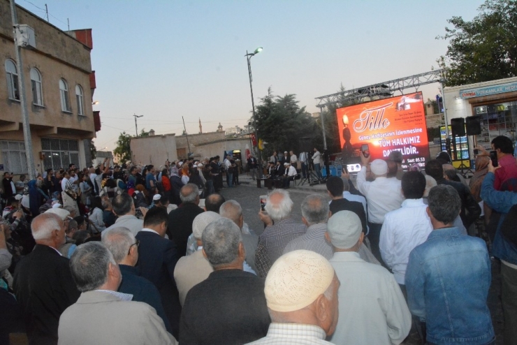 Siirt’te Işık Hadisesi Programı İptal Edildi