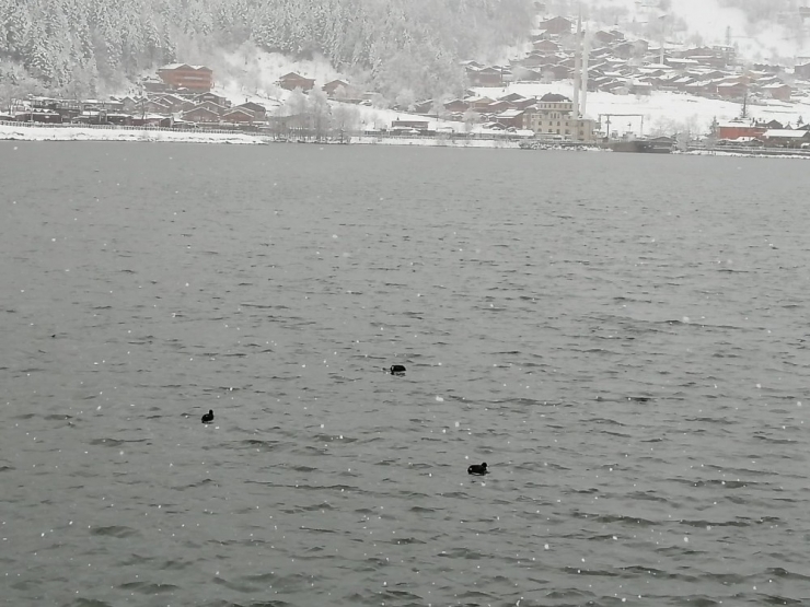 Uzungöl’de Koronavirüs Sessizliği