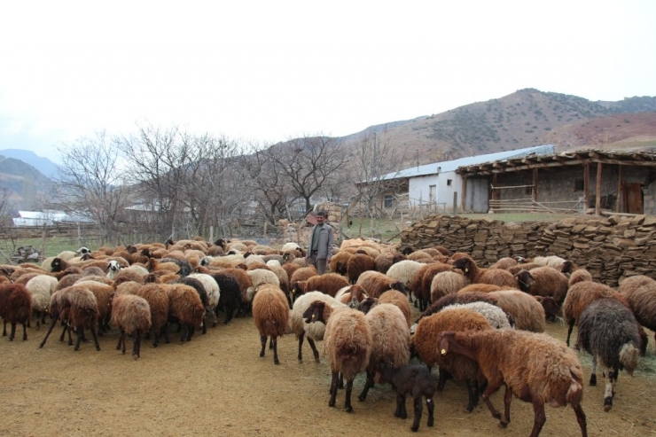 Köylülerin Heyelan Korkusu