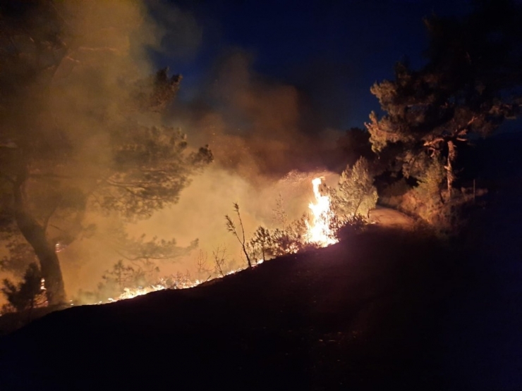 Manavgat’ta Orman Yangını