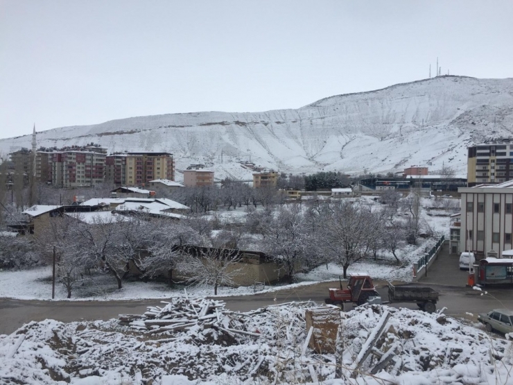 Darende’de Çiçek Açan Kayısı Kara Gömüldü