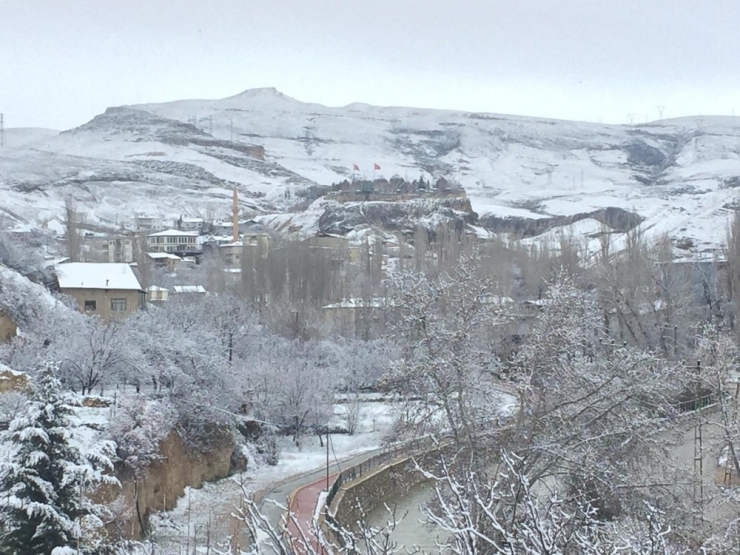 Darende’de Çiçek Açan Kayısı Kara Gömüldü