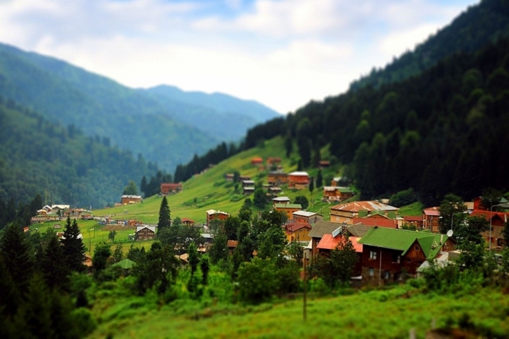 Doğu Karadeniz’de ‘Biyokaçakçılık’ Uyarısı