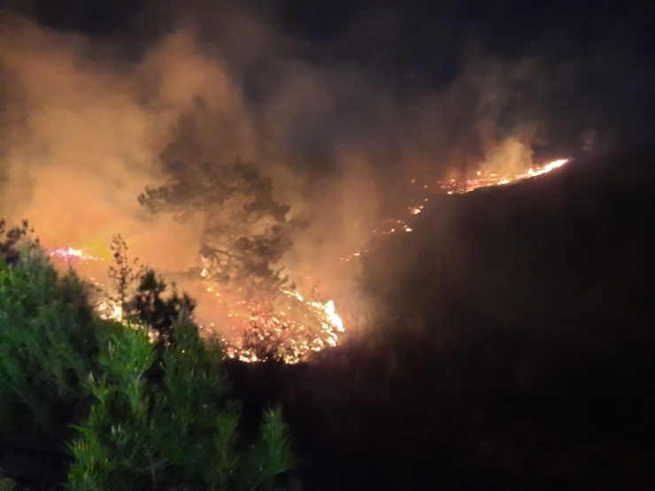 Manavgat’ta Orman Yangını