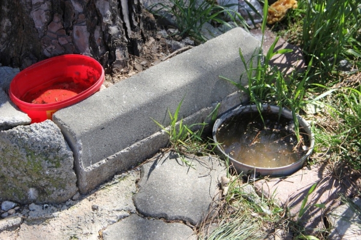 Sgk Personeli İle Taksiciler Arasında Kuş Tartışması