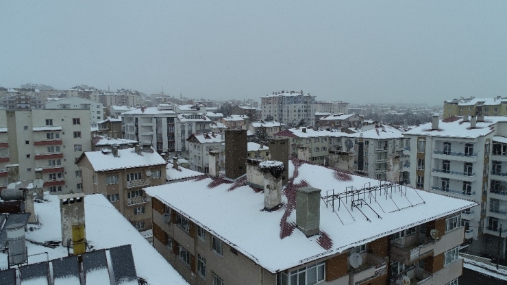 Erken Göçen Leylek Kar Sürprizi Yaşadı