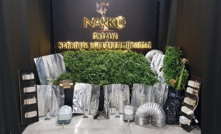 Villada Klasik Müzik Eşliğinde Kenevir Yetiştiren 4 Şüpheli Yakalandı