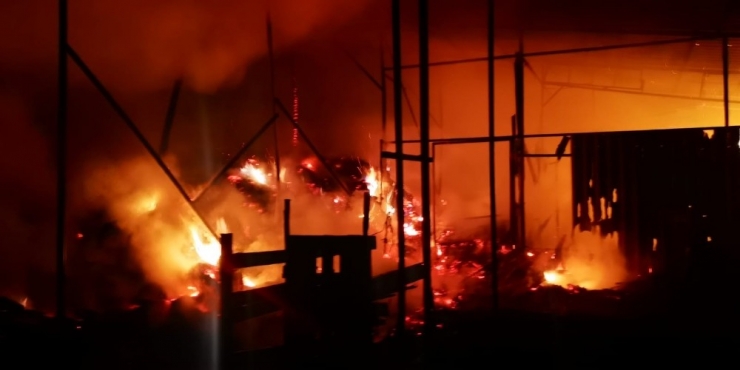 Bilecik’teki Ahır Ve Samanlık Yangınında 10 Büyükbaş Hayvan Telef Oldu