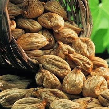 Milletvekili Savaş Öğrencilere İncir İkram Edecek