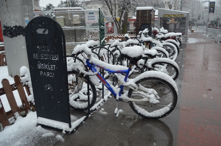 Bolu Yağan Karla Beyaza Büründü