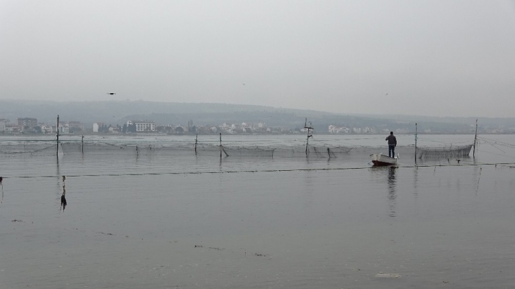 Binlerce Yıllık Yöntemle Günde 1 Ton Balık Yakalıyorlar