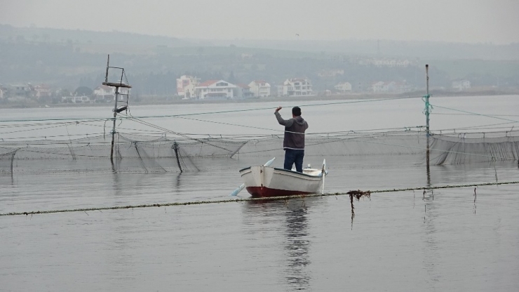 Binlerce Yıllık Yöntemle Günde 1 Ton Balık Yakalıyorlar