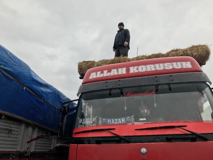 Hayvan Pazarı Korona Virüsü Nedeniyle Kapatıldı