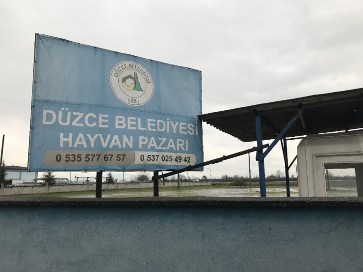 Hayvan Pazarı Korona Virüsü Nedeniyle Kapatıldı