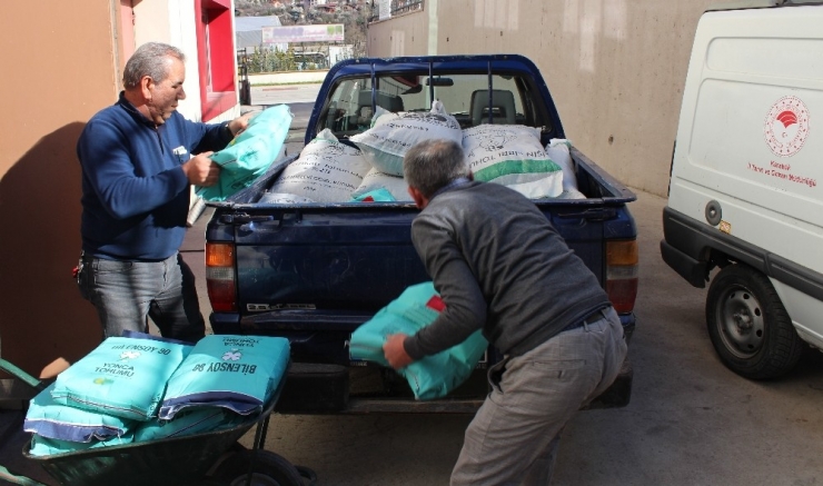Üreticilere 12 Bin 800 Kilogram Yem Bitkileri Tohumu Dağıtıldı