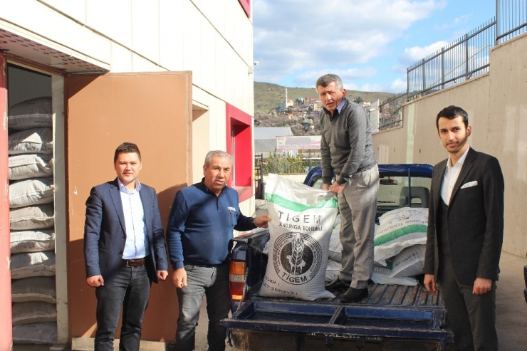 Üreticilere 12 Bin 800 Kilogram Yem Bitkileri Tohumu Dağıtıldı