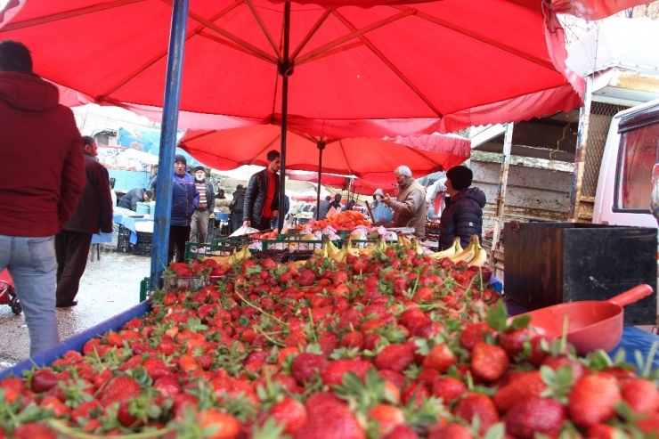 Marketlerdeki Kalabalık Pazara Yansımadı, Meyve Fiyatları Yarı Yarıya Düştü