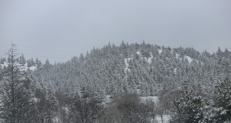 Başkent’te Korona Virüs Tatilindeki Çocuklar Kartopu Oynadı