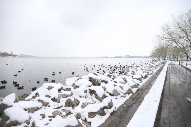 Başkent’te Korona Virüs Tatilindeki Çocuklar Kartopu Oynadı
