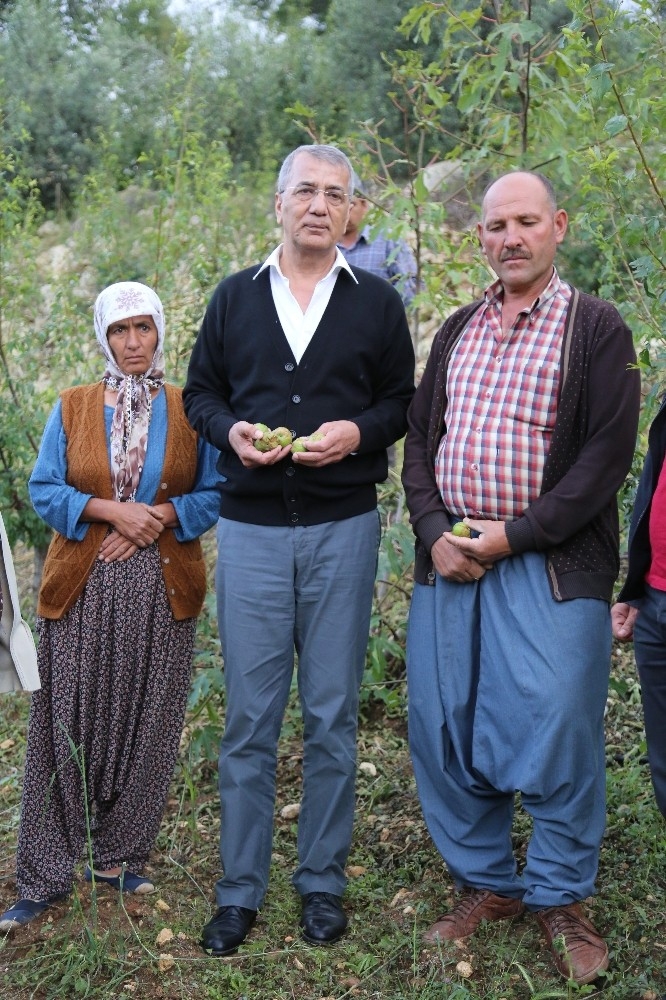 Tarhan, Afetzede Üreticiler İçin Destek İstedi