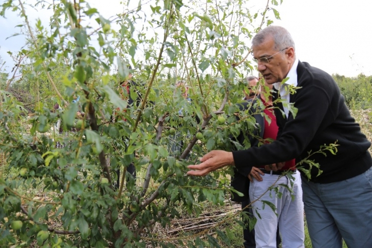 Tarhan, Afetzede Üreticiler İçin Destek İstedi