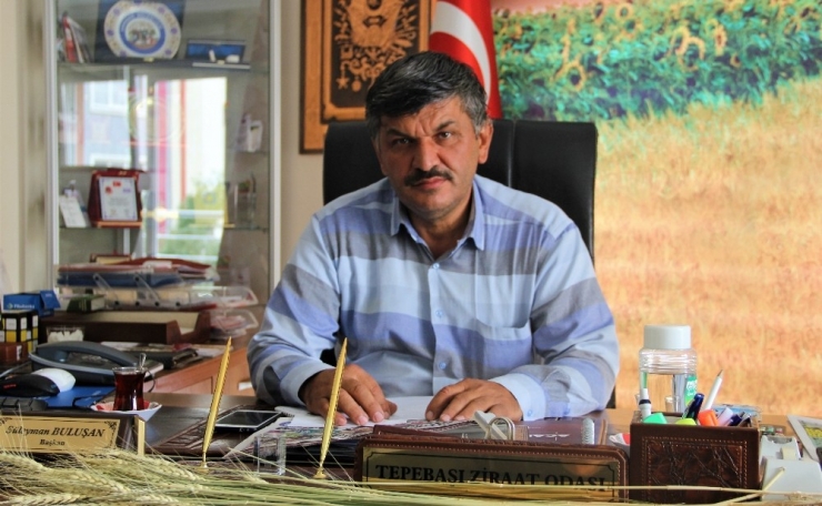 Güneşe Aldanan Meyve Ağaçlarını Kar Ve Soğuk Hava Vurdu