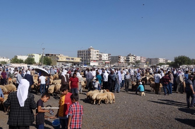 Viranşehir’de Hayvan Pazarı Kapatıldı