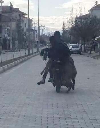 Motosiklette 2 Keçi, 2 İnsan