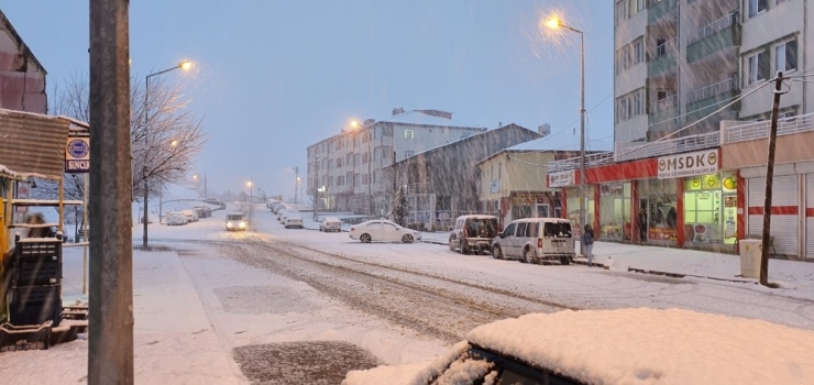 Mart Ayında Lapa Lapa Kar Yağdı