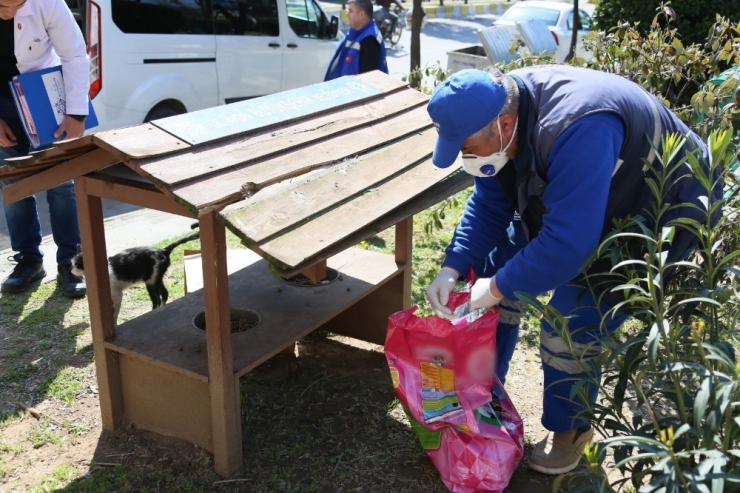 Aydın Büyükşehir Belediyesi Can Dostları Unutmadı